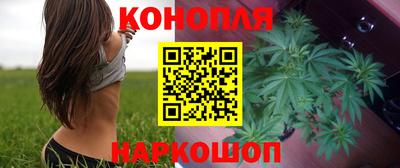 СК Будённовск